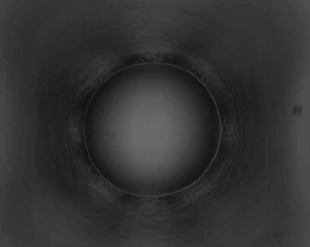 X0000093091060200710031434