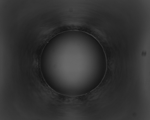 X0000093091061200710031434
