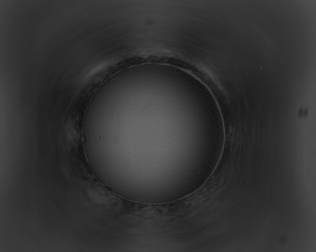 X0000093091063200710031434