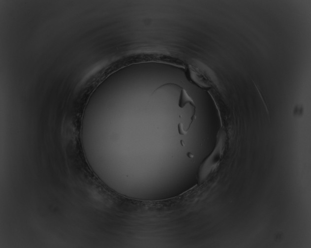 X0000093091064200710031434