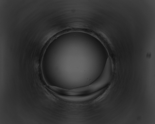 X0000093091065200710031434