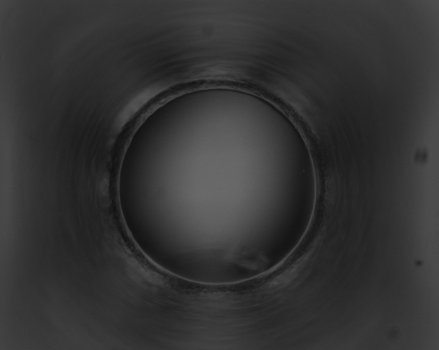X0000093091066200710031434