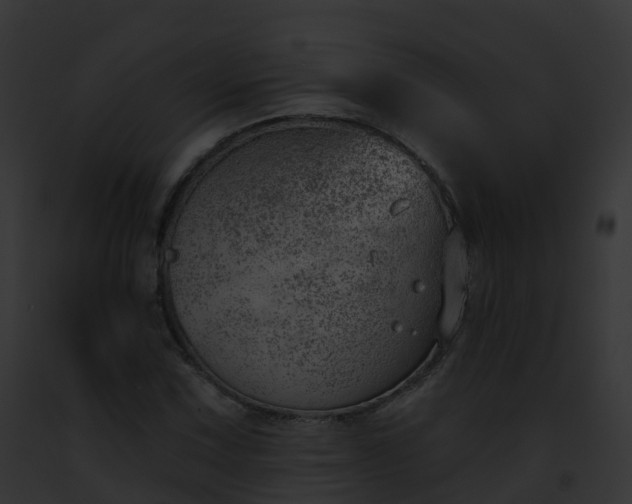 X0000093091067200710031434
