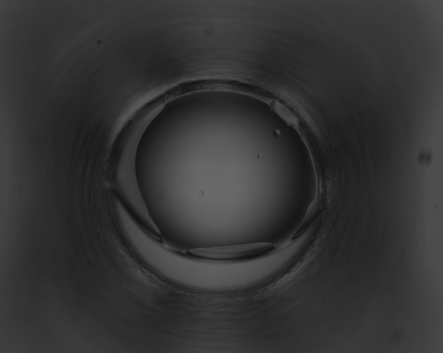 X0000093091069200710031434