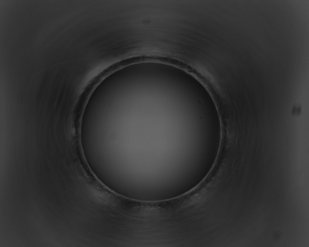 X0000093091070200710031434