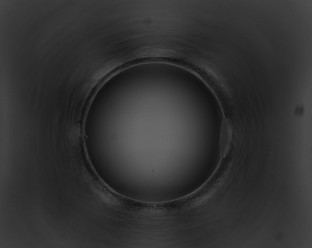 X0000093091073200710031433