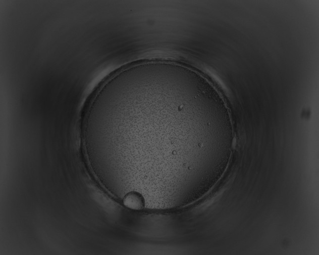 X0000093091075200710031433