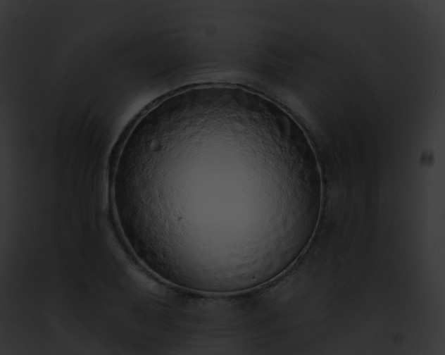 X0000093091079200710031433