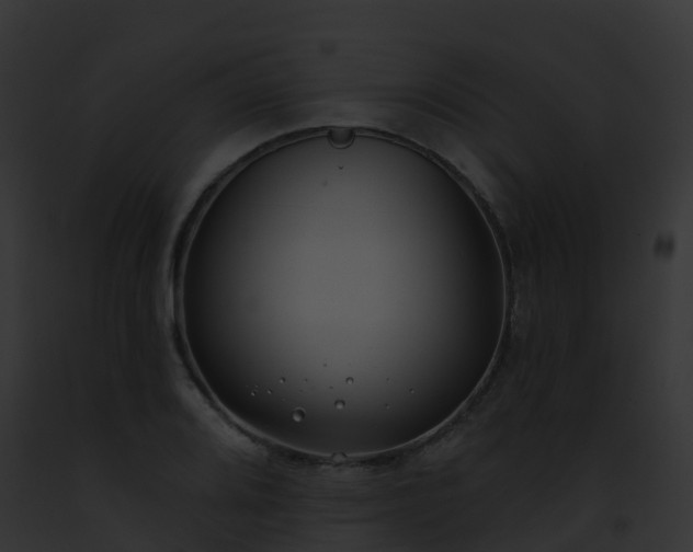 X0000093091080200710031433