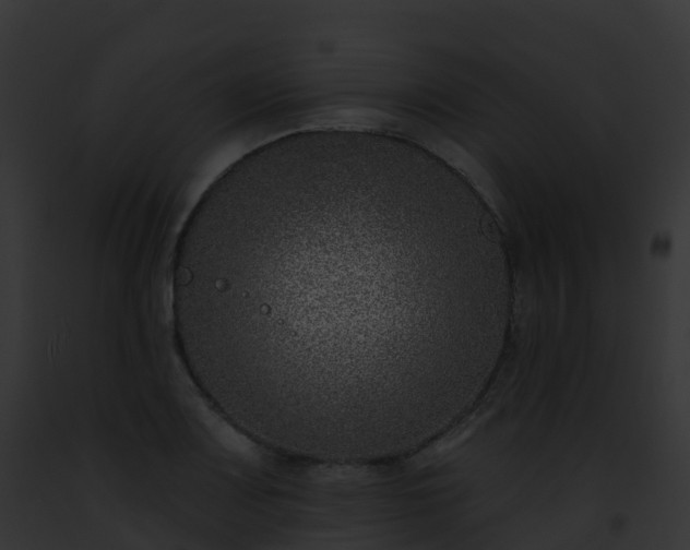 X0000093091083200710031433