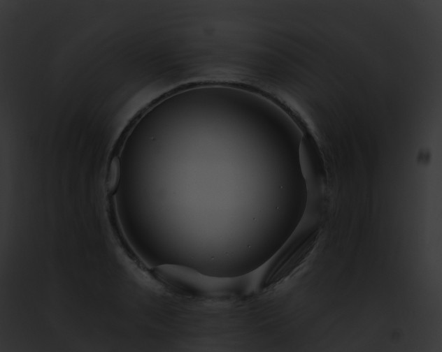 X0000093091085200710031433