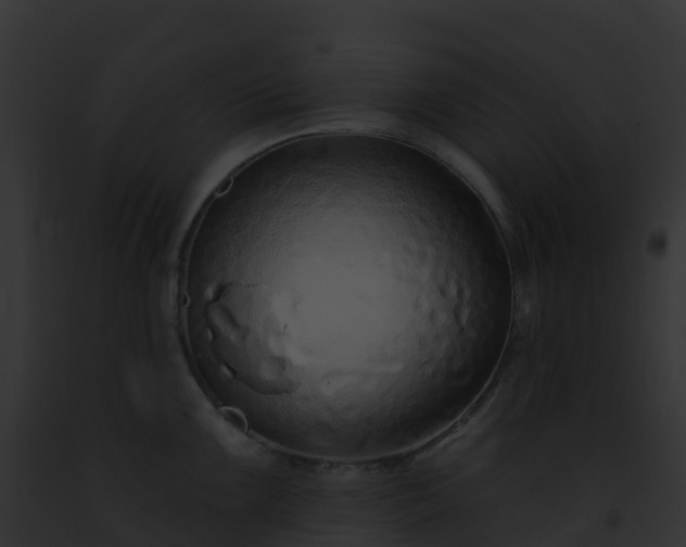 X0000093091099200710031433