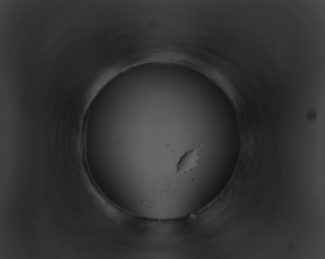 X0000093091103200710031433