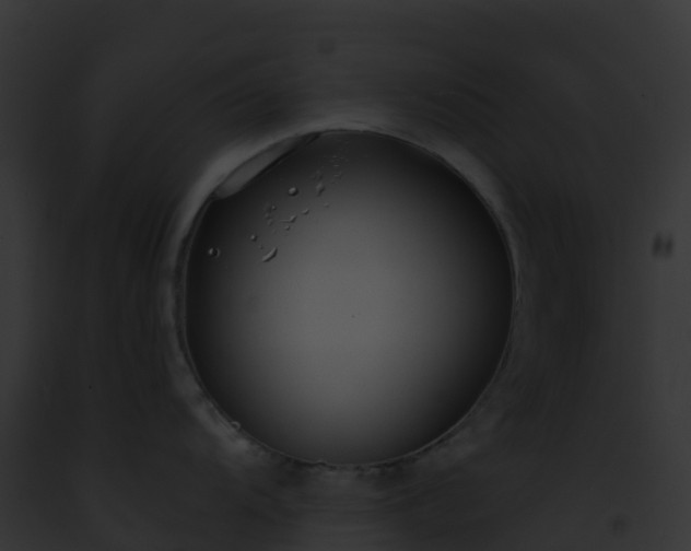 X0000093091104200710031433