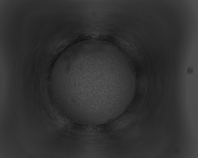 X0000093091105200710031433