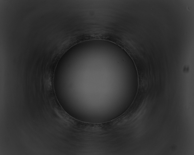 X0000093091106200710031433