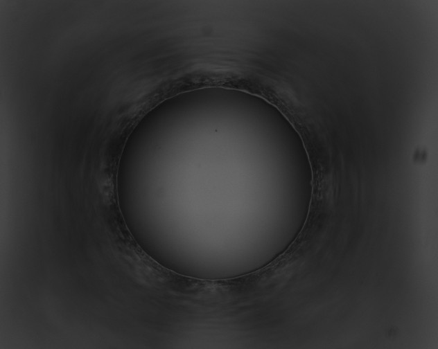 X0000093091109200710031433