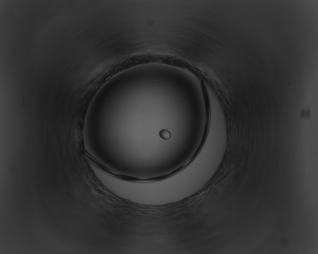 X0000093091110200710031433