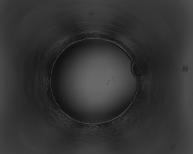 X0000093091111200710031433