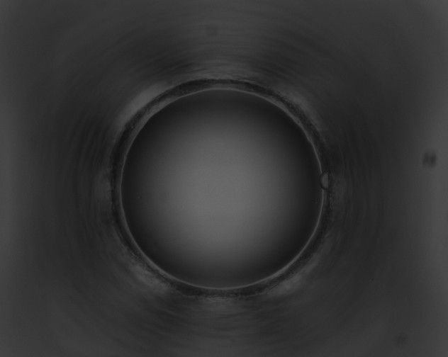 X0000093091114200710031433