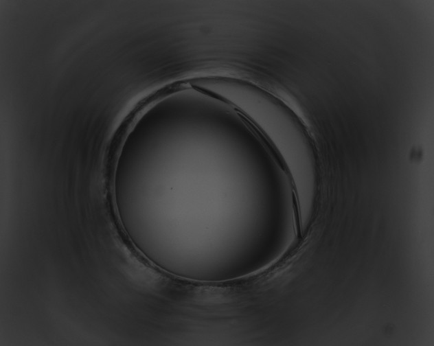 X0000093091116200710031433