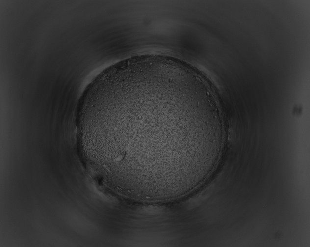 X0000093091117200710031433