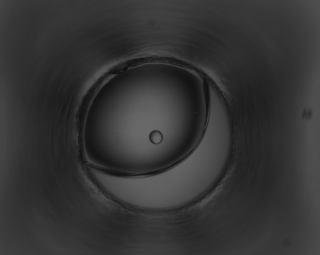 X0000093091118200710031433