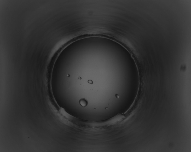 X0000093091122200710031433