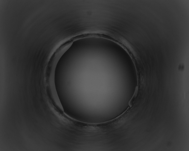 X0000093091124200710031433