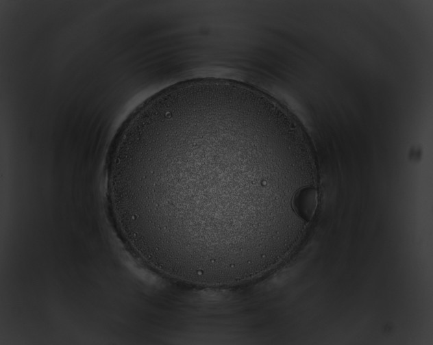 X0000093091125200710031433
