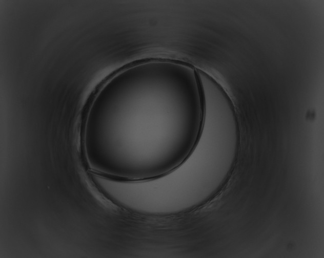 X0000093091128200710031433