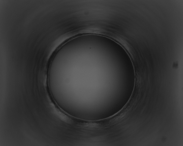 X0000093091131200710031433
