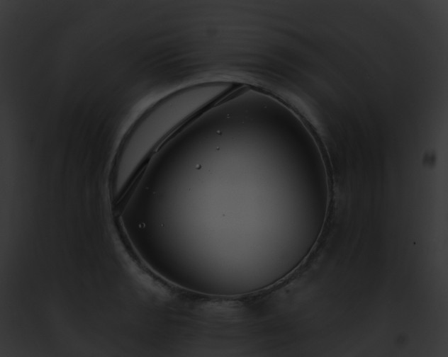X0000093091133200710031433