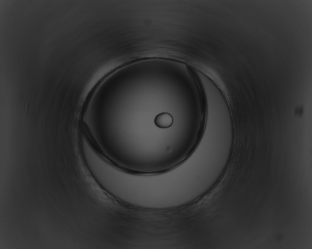 X0000093091138200710031433