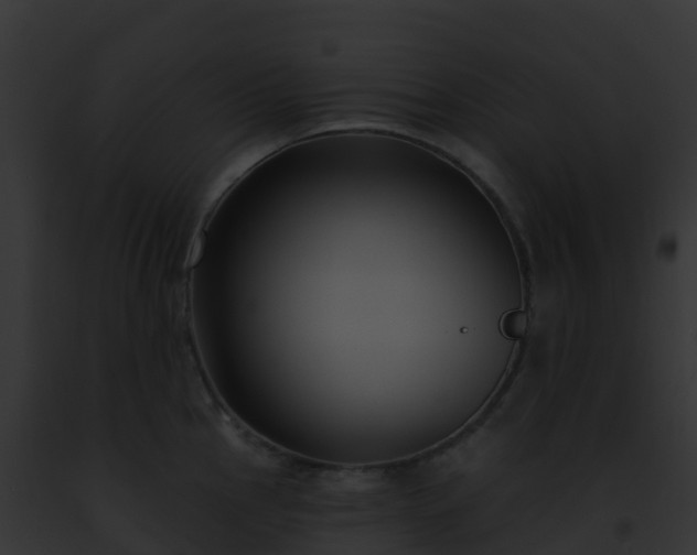 X0000093091145200710031433