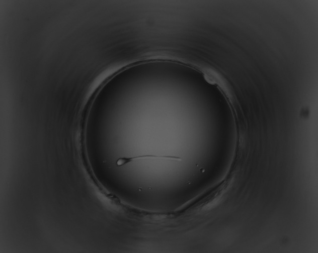 X0000093091149200710031433