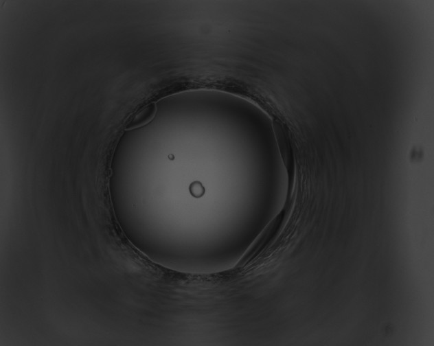 X0000093091153200710031432