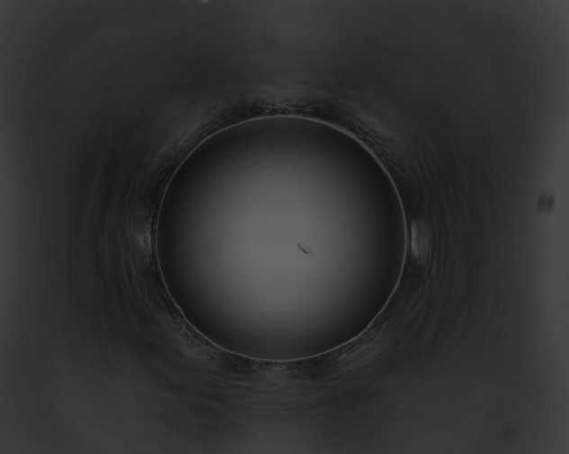 X0000093091155200710031432