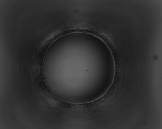X0000093091159200710031432