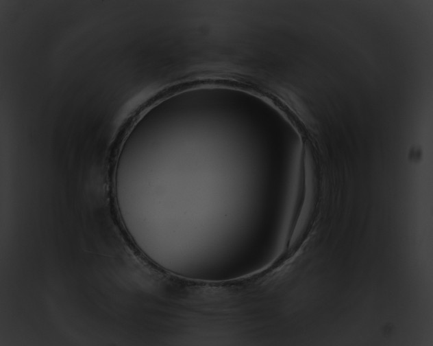 X0000093091164200710031432