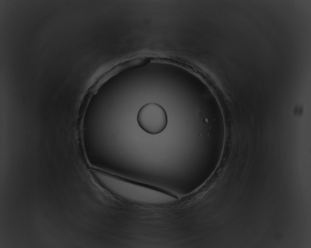 X0000093091168200710031432
