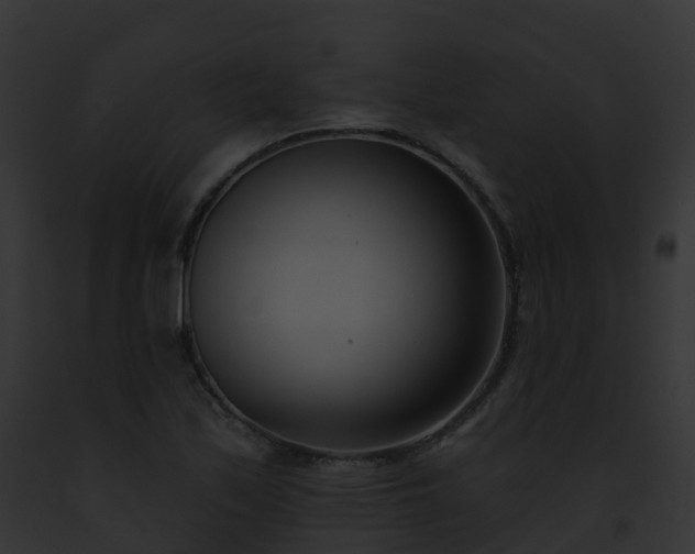 X0000093091171200710031432