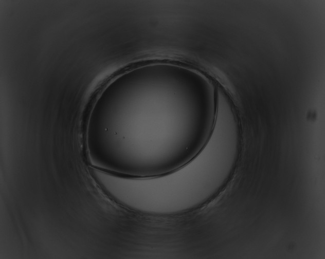 X0000093091172200710031432