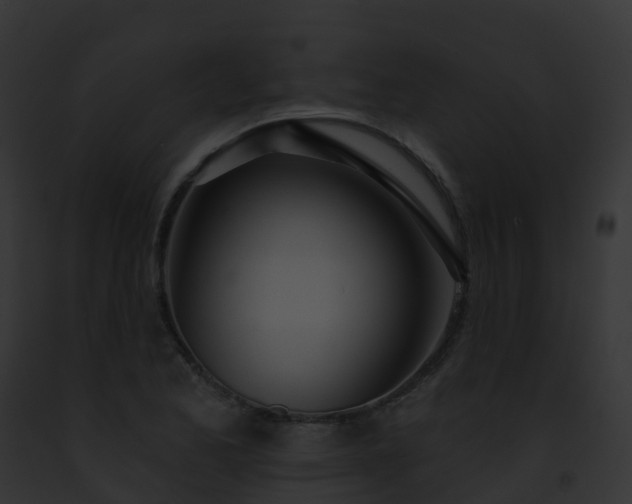 X0000093091173200710031432