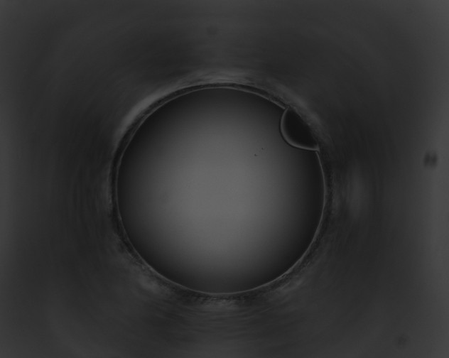 X0000093091174200710031432
