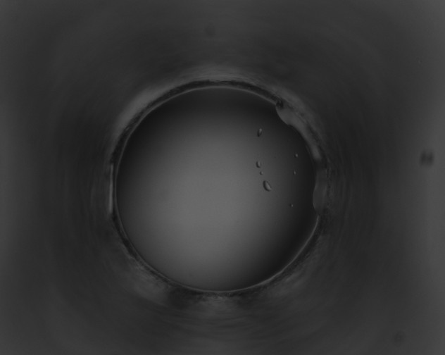 X0000093091175200710031432