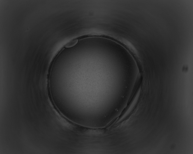X0000093091183200710031432