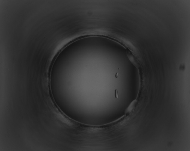 X0000093091184200710031432