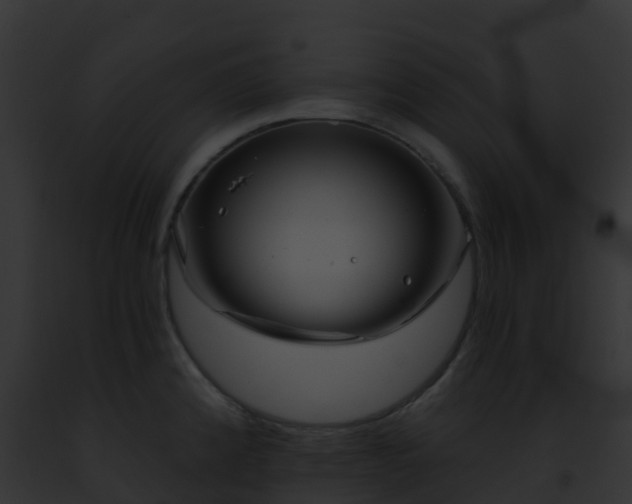X0000093091192200710031432