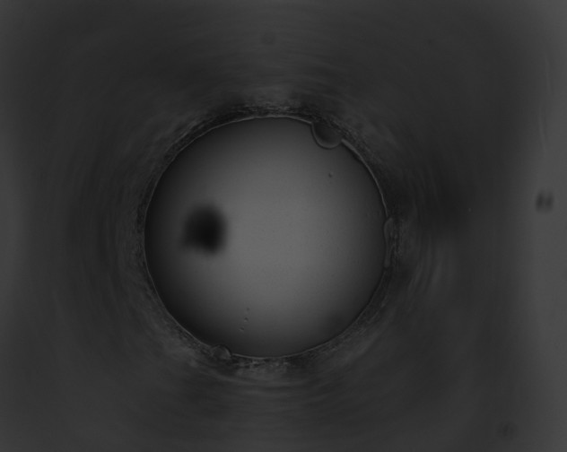X0000093091201200710031431